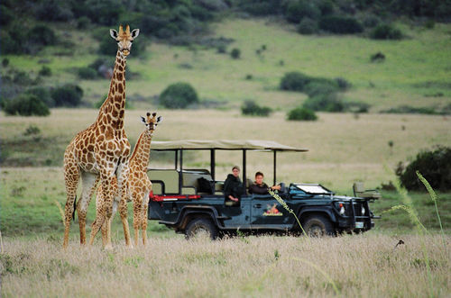 Amakhala Safari Lodge Paterson Bagian luar foto
