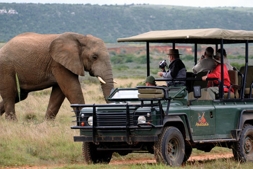 Amakhala Safari Lodge Paterson Bagian luar foto