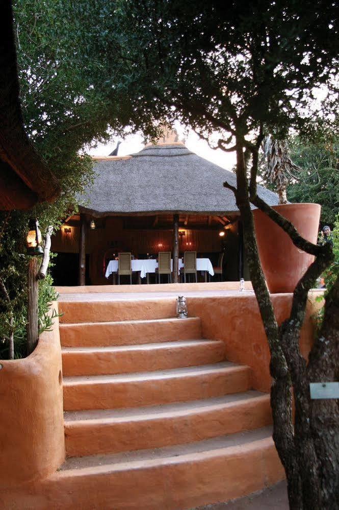 Amakhala Safari Lodge Paterson Bagian luar foto