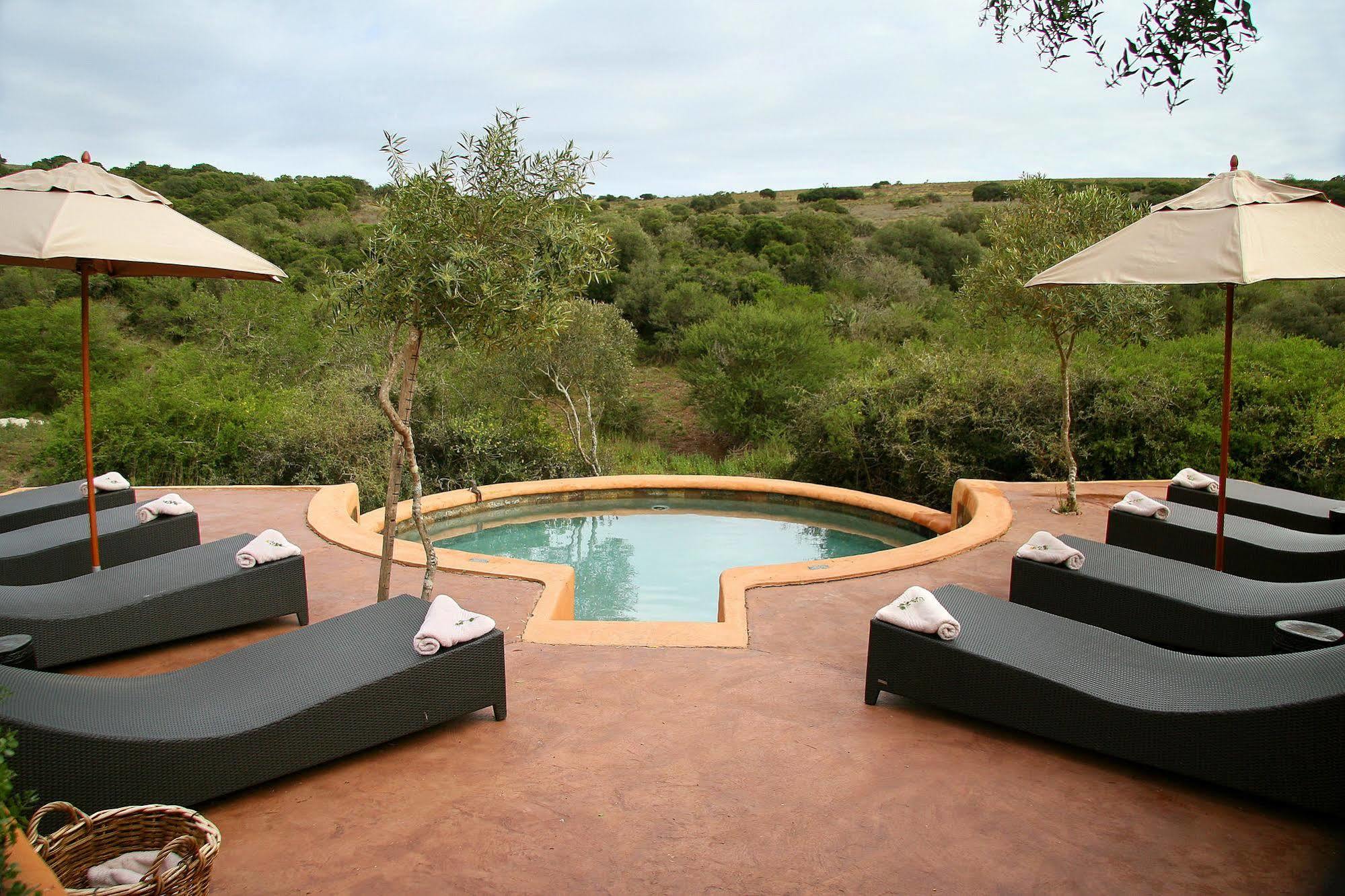 Amakhala Safari Lodge Paterson Bagian luar foto
